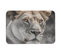 Lioness Diatom - Tappetini da bagno in fango, assorbono l'umidità e lo sporco, con retro in gomma antiscivolo, adatto sotto la porta, per pavimento del bagno, vasca, doccia, lavandino