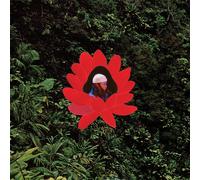 Lionmilk When the Flowers Bloom (Vinyl LP) 12" Album