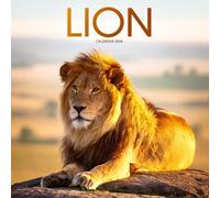 Lions Calendar 2026: Majestic Wildlife Photography of Africa’s Big Cats
