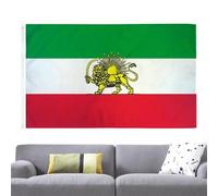 Lions Flag - Team Banner for Game Day Celebration | Polyester Fabric with Double Stitched Edges, Fade Resistant Print Wall Decor for Indoor Outdoor Yard Porch Display