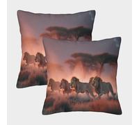 Lions on The Savana africana Fodera Per Cuscino Moderna Cuscino Casa Camera Da Letto Divano Auto Ufficio Esterno 40x40cm 2 Pacchi