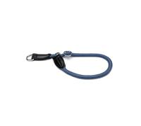 lionto Collare Martingala Cane, 45 cm, Spessore 1 cm, Blu | Collare da addestramento in nylon resistente, fibbia stabile, regolazione continua e anello D per guinzaglio