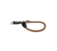 lionto Collare Martingala Cane, 55 cm, Spessore 1 cm, Marrone | Collare da addestramento in nylon resistente, fibbia stabile, regolazione continua e anello D per guinzaglio