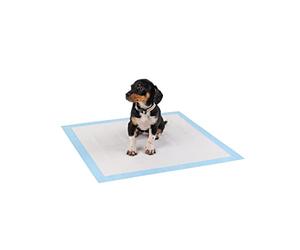 lionto Tappetini per cuccioli e cani, pads di allenamento a 6 strati con strisce adesive, 50 pezzi 60x60 cm, impermeabili grazie all'alta capacità di assorbimento per animali incontinenti, blu/bianco