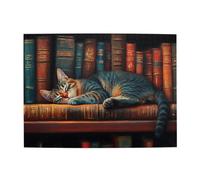 Liorosa 500 pezzi puzzle Bookworm Cat Nap, divertente gatto che dorme profondamente sul libro antico, opere d'arte mozzafiato, design vivace, rilassati e goditi il divertimento di risolvere puzzle