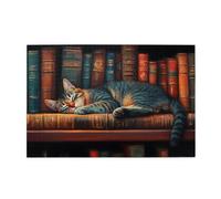 Liorosa Puzzle da 1000 pezzi con topo di biblioteca, divertente gatto che dorme profondamente sul libro antico, opere d'arte mozzafiato, design vivace, rilassati e goditi il divertimento di risolvere