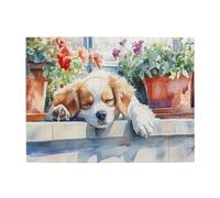 Liorosa Puzzle di cuccioli addormentati per adulti, 500 pezzi, scena illuminata dal sole con vasi di terracotta e fiori che sbocciano, pezzi si adattano perfettamente, completi di famiglia e amici