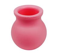 Lip Plumper Strumenti Di Bellezza Con Effetto
