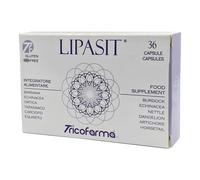 LIPASIT DERMOPUR 36CPS 500MG