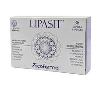 LIPASIT DERMOPUR 36CPS 500MG