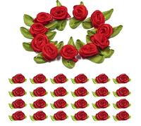 Lipfer 50 Pezzi Mini Rose Fiori a Nastro per Mestieri, Tessuto Fiocchi di Nastro di Raso, Piccole Piccoli Fiori per Mestieri, Fai - -Te, Cucito, Matrimonio, Decorazione Regalo Dono della
