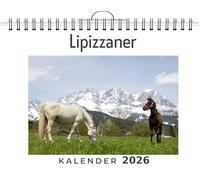 Lipizzaner: (Wandkalender 2026, Kalender DIN A4 quer, Monatskalender im Querformat mit Kalendarium, das perfekte Geschenk)
