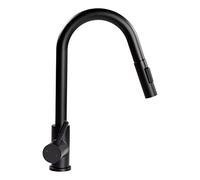 Lippert Flow Max Pull Down Bullet Rubinetto da cucina, rubinetto per lavabo, rubinetto per lavello per camper e residenziale