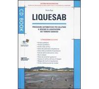 Liquesab. Procedure automatiche per valutare il rischio di liquefazione dei terreni sabbiosi. Con CD-ROM