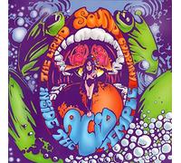 Liquid Sound Company - Inside The Acid Temple