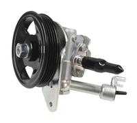 liquido dello sterzo 491109CA0A Pompa servosterzo adatta per Nissan Frontier Pathfinder Quest Xterra parti