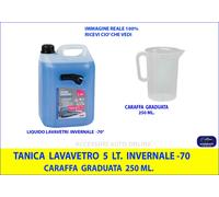 Liquido detergente cristalli -70° LT.5 Lavavetri Vaschetta Tergi Auto Caraffa