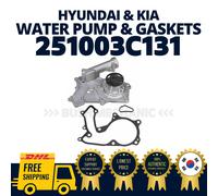 Liquido di raffreddamento pompa acqua motore Hyundai Kia OEM originale con gu...