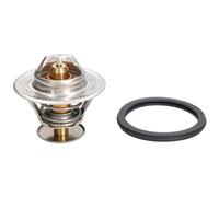 Liquido di raffreddamento theraAxleat adatto a VOLVO F10, F6, FL4...