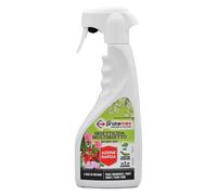 Liquido Insetticida Multinsetto Protemax 500 ml