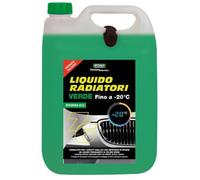 Liquido permanente radiatori e circuiti sigillati -20°C verde 5 L