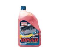 LIQUIDO PROTETTIVO ANTIGELO PER RADIATORI ROSSO- - lt.2 - 6 pezzi AREXONS