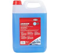 Liquido tergivetro leva moscerini -1°C 5L START