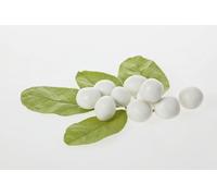 Liquirizia PURA di Calabria D.o.p. Biologica PURE Italian LICORICE Liquirgam 1Kg