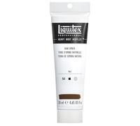 Liquitex Professional Heavy Body - Tubo di vernice acrilica, 138 ml, Terra d'ombra naturale