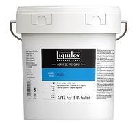 Liquitex Professional - Gesso Trasparente, per Preparazione Superfici per la Pittura, 3.78 L (Confezione da 1)