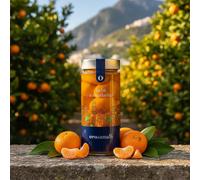 Liquori e Creme liquore OrodiAmalfi formati da 10 50cl - Salerno, Campania