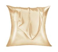 Lirex Set di 2 Federe in Raso, Decorativi Morbido Tinta Unita Quadrate Federe Cuscini Federa di Satin per Cuscino Senza Rughe Resistente Allo Sbiadimento Traspirante (Champagne, 65 x 65 cm)