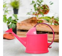 L'irrigazione può essere un bollitore che spruzza l'ugello a lungo per le