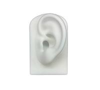 LiRRvb Simulazione del silicone Modello dell'orecchio umano Foratura e perforazione Pratica Insegnamento Display Puntelli Ear Studs Stand Orecchie in Silicone Pratica Piercing, Misura unica, come