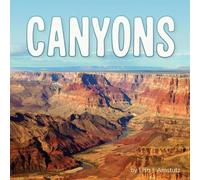 Lisa J Amstutz Canyons (Copertina rigida) Earth's Landforms