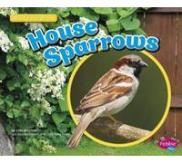 Lisa J Amstutz House Sparrows (Copertina rigida) Backyard Birds