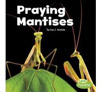 Lisa J Amstutz Praying Mantises (Copertina rigida) Little Critters