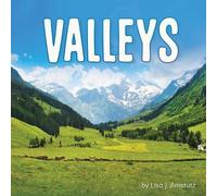 Lisa J Amstutz Valleys (Copertina rigida) Earth's Landforms