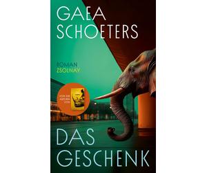 Lisa Mensing Gaea Schoeters Das Geschenk: Roman (Copertina rigida)
