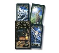 Lisa Parker Familiars Tarocchi Strato Carte Esoteric Telling FOURNIER Nuovo