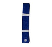 lisaro Cintura sportiva da combattimento, Karate Judo Taekwondo Ju Jutsu BJJ, taglia 160-300 cm (blu, 300)