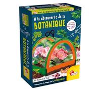 Lisciani- Giocattolo, FR100231, Multi, Taglia Unica