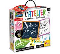 Lisciani- Gioco educativo, FR89093