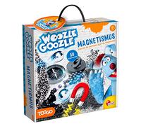 Lisciani DE89345WG - Woozle Goozle Magnetismo Calamita Esperimenti Libero Campo
