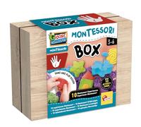 Liscianigiochi- Montessori Box Touch, 105441, Multicolore