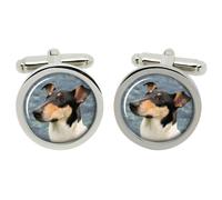 Liscio Collie Gemelli IN Cromo Scatola