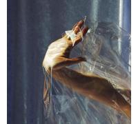 Lisel Angels On the Slope (CD) Album