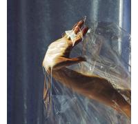 Lisel - Angels On The Slope - Vinile