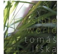 Liska, Tomas - Invisible World