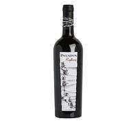 Paladin Venezia DOC Refosco dal Peduncolo Rosso 2024 0,75 ℓ